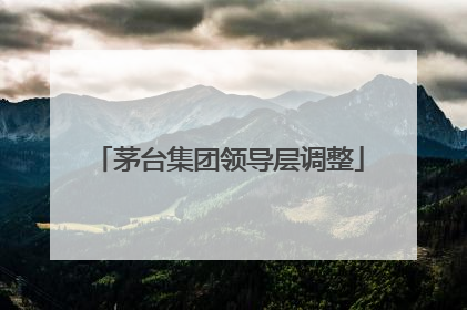 茅台集团领导层调整