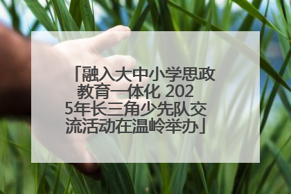 融入大中小学思政教育一体化 2025年长三角少先队交流活动在温岭举办