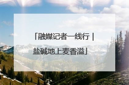 融媒记者一线行｜盐碱地上麦香溢