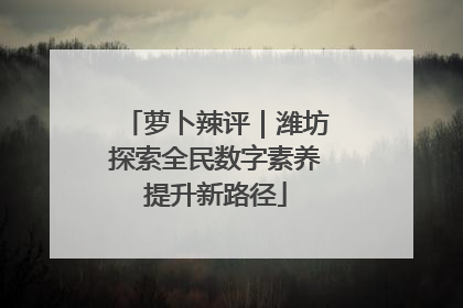 萝卜辣评｜潍坊探索全民数字素养提升新路径