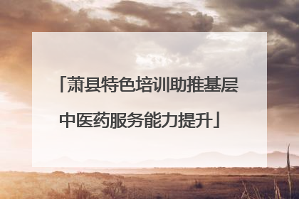 萧县特色培训助推基层中医药服务能力提升