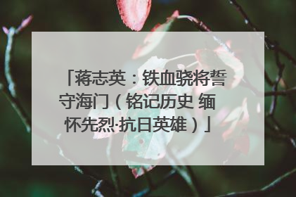 蒋志英：铁血骁将誓守海门（铭记历史 缅怀先烈·抗日英雄）