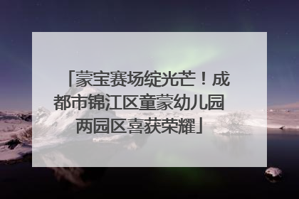 蒙宝赛场绽光芒！成都市锦江区童蒙幼儿园两园区喜获荣耀