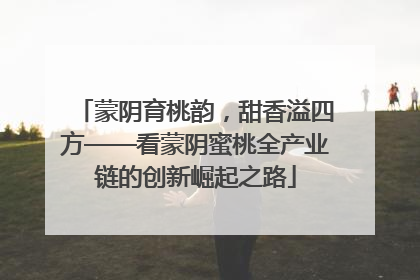 蒙阴育桃韵，甜香溢四方——看蒙阴蜜桃全产业链的创新崛起之路