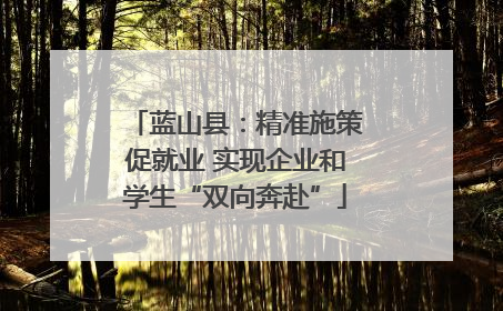 蓝山县：精准施策促就业 实现企业和学生“双向奔赴”
