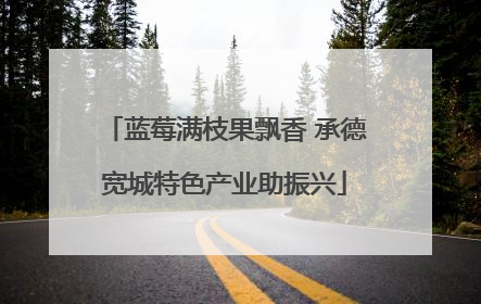 蓝莓满枝果飘香 承德宽城特色产业助振兴