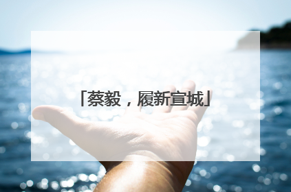 蔡毅，履新宣城