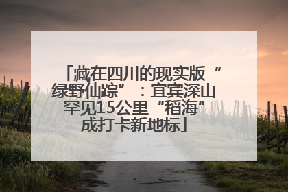 藏在四川的现实版“绿野仙踪”：宜宾深山罕见15公里“稻海”成打卡新地标