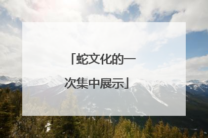 蛇文化的一次集中展示