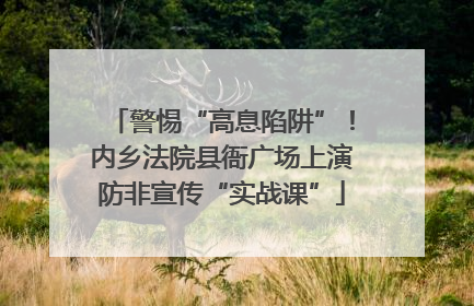 警惕“高息陷阱”！内乡法院县衙广场上演防非宣传“实战课”