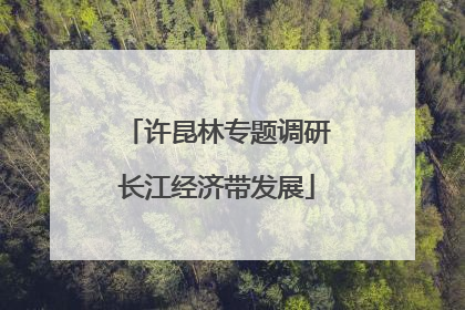 许昆林专题调研长江经济带发展