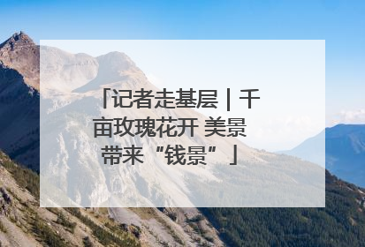 记者走基层｜千亩玫瑰花开 美景带来“钱景”