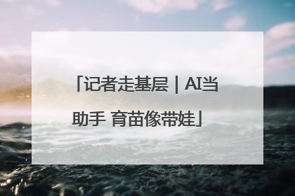 记者走基层｜AI当助手 育苗像带娃