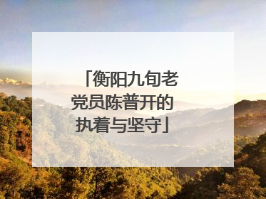 衡阳九旬老党员陈普开的执着与坚守
