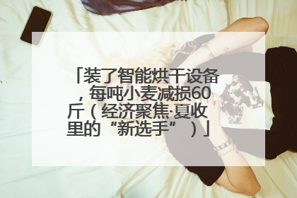 装了智能烘干设备，每吨小麦减损60斤（经济聚焦·夏收里的“新选手”）