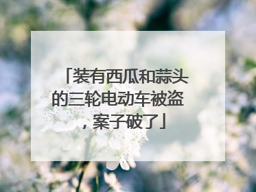 装有西瓜和蒜头的三轮电动车被盗，案子破了
