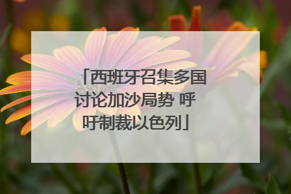 西班牙召集多国讨论加沙局势 呼吁制裁以色列