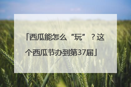 西瓜能怎么“玩”？这个西瓜节办到第37届