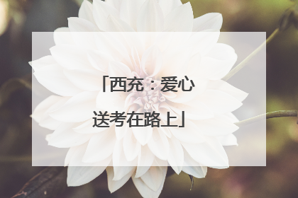 西充：爱心送考在路上