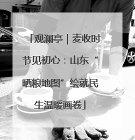 观澜亭｜麦收时节见初心：山东“晒粮地图”绘就民生温暖画卷