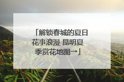 解锁春城的夏日花事浪漫 昆明夏季赏花地图→