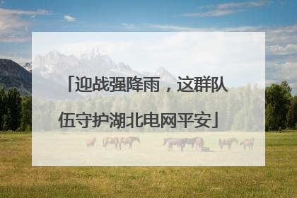 迎战强降雨，这群队伍守护湖北电网平安