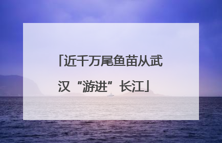 近千万尾鱼苗从武汉“游进”长江