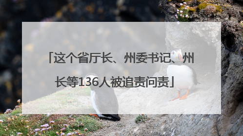 这个省厅长、州委书记、州长等136人被追责问责