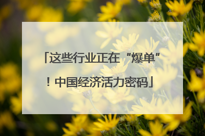 这些行业正在“爆单”！中国经济活力密码
