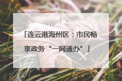 连云港海州区：市民畅享政务“一网通办”