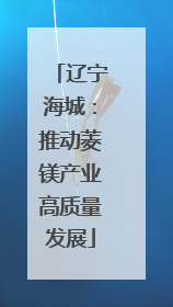 辽宁海城：推动菱镁产业高质量发展