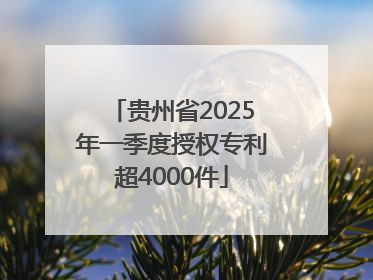 贵州省2025年一季度授权专利超4000件