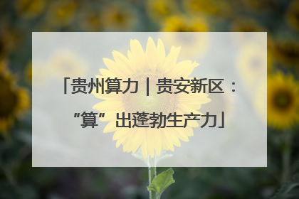 贵州算力｜贵安新区：“算”出蓬勃生产力