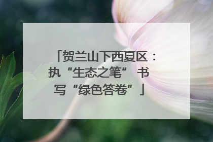 贺兰山下西夏区：执“生态之笔” 书写“绿色答卷”