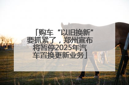 购车“以旧换新”要抓紧了，郑州宣布将暂停2025年汽车置换更新业务