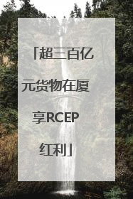 超三百亿元货物在厦享RCEP红利
