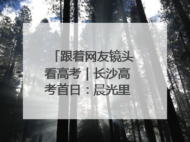 跟着网友镜头看高考｜长沙高考首日：晨光里的奔赴与守望