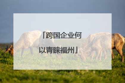 跨国企业何以青睐福州