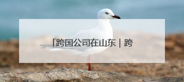 跨国公司在山东｜跨国巨头抢滩山东开发区，青岛峰会拉开帷幕