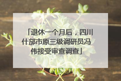 退休一个月后，四川什邡市原三级调研员冯伟接受审查调查