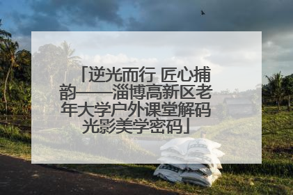 逆光而行 匠心捕韵——淄博高新区老年大学户外课堂解码光影美学密码
