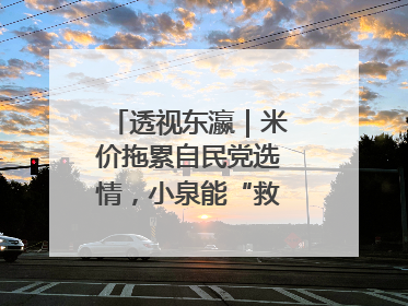 透视东瀛｜米价拖累自民党选情，小泉能“救”石破茂吗