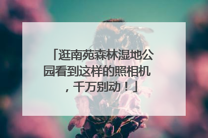 逛南苑森林湿地公园看到这样的照相机，千万别动！