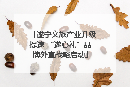 遂宁文旅产业升级提速 “遂心礼”品牌外宣战略启动