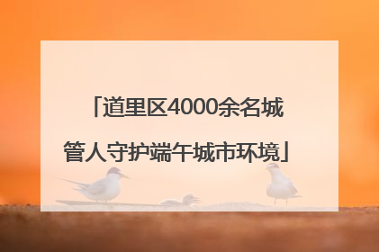 道里区4000余名城管人守护端午城市环境