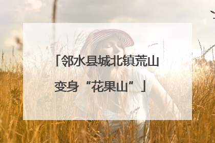 邻水县城北镇荒山变身“花果山”