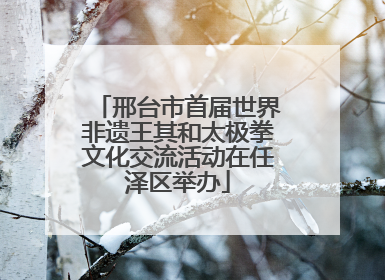 邢台市首届世界非遗王其和太极拳文化交流活动在任泽区举办
