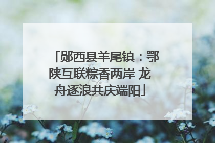 郧西县羊尾镇：鄂陕互联粽香两岸 龙舟逐浪共庆端阳