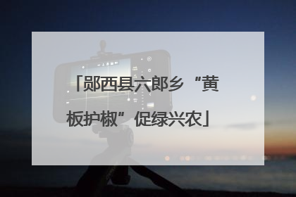 郧西县六郎乡“黄板护椒”促绿兴农