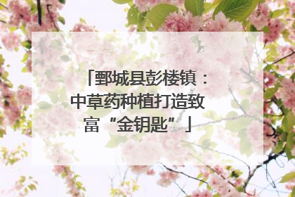 鄄城县彭楼镇：中草药种植打造致富“金钥匙”